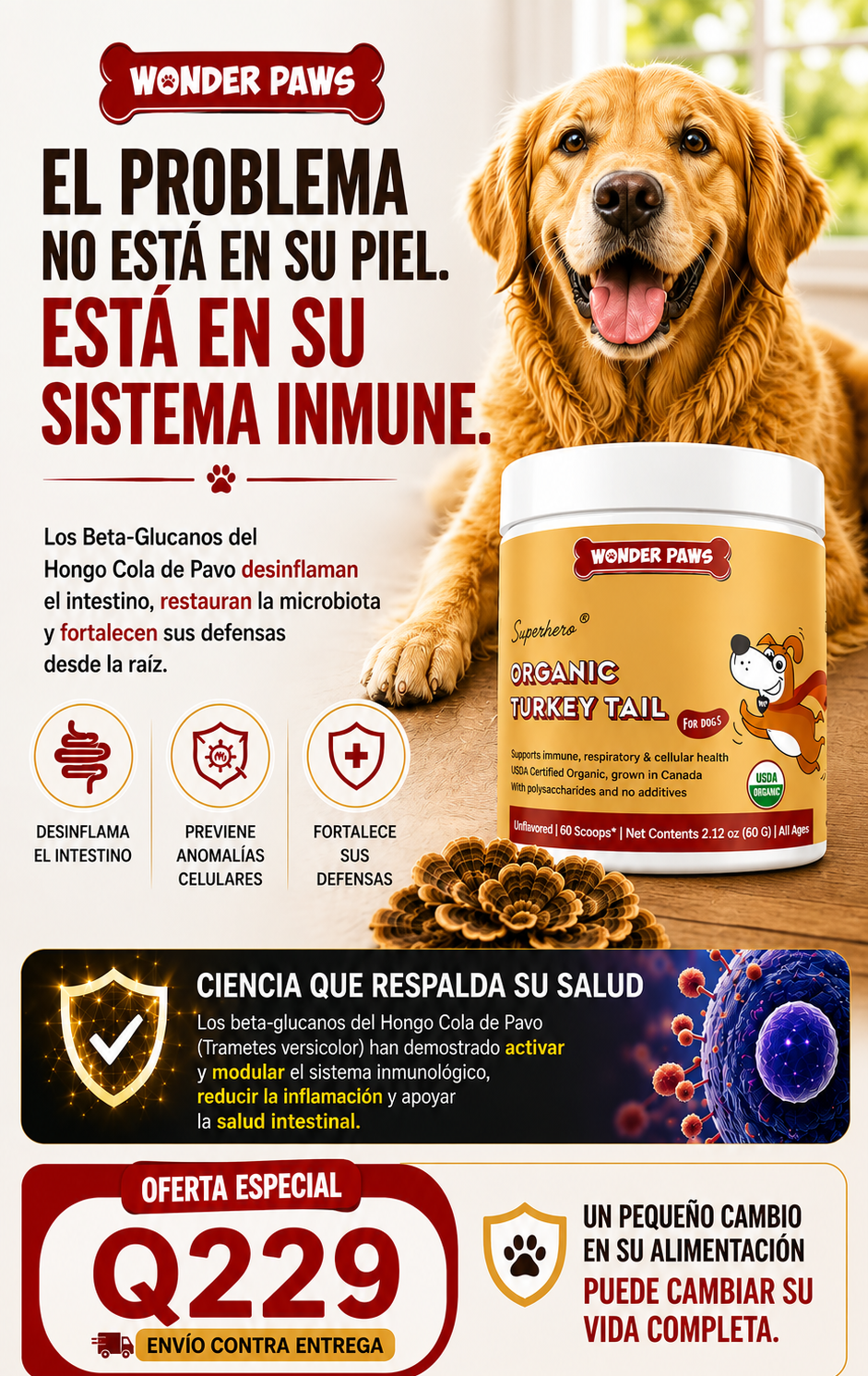 HONGO COLA DE PAVO - FORTALECE SISTEMA INMUNOLOGICO