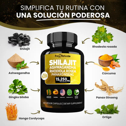 Dúo Vitalidad Total – Sea Moss + Shilajit Despídete del Hormigueo y Entumecimiento