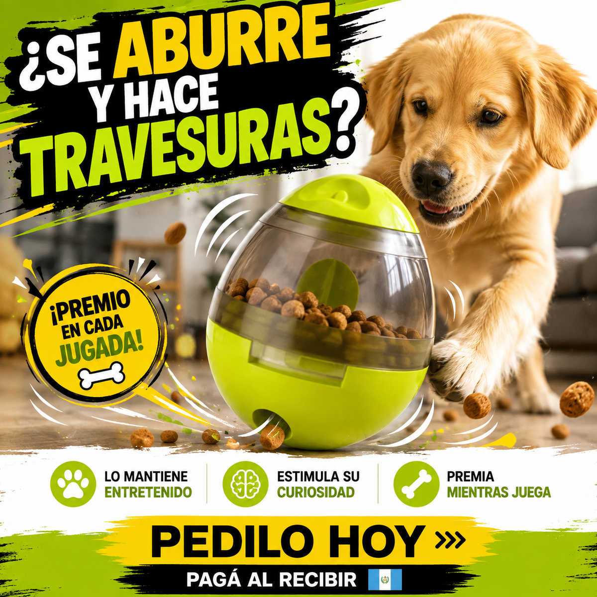 Huevo de Pascua Interactivo - Juega y se Alimenta, Ya No Daña Todo