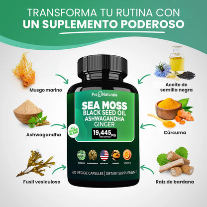 Dúo Vitalidad Total – Sea Moss + Shilajit Despídete del Hormigueo y Entumecimiento