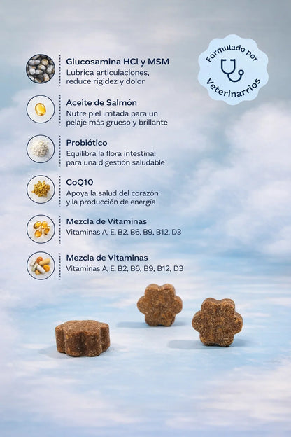 Dog is Human Probiótico Multivitamínico Premium - Mejora el Sistema Inmunológico 🦠☠️🐶🐾