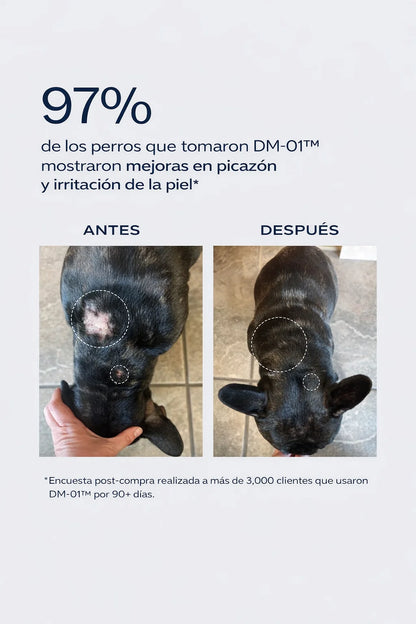 Dog is Human Probiótico Multivitamínico Premium - Mejora el Sistema Inmunológico 🦠☠️🐶🐾